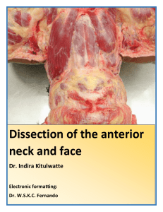 Dissection of the anterior neck and face