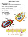 Cell Structure and Processes - Mrs. Gracie Gonzalez Biology Class