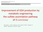 Improvement of GSH production by metabolic engineering the