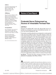 Pudendal Nerve Entrapment as Source of Intractable Perineal Pain