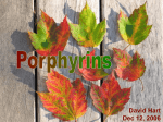 PORPHYRINS