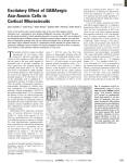 Excitatory Effect of GABAergic Axo