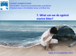7. What can we do against marine litter