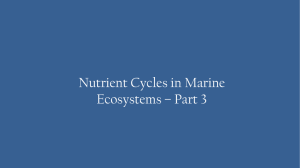 Nutrient Cycles