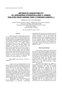 Antibiotic Susceptibility of Aeromonas hydrophila and A. sobria