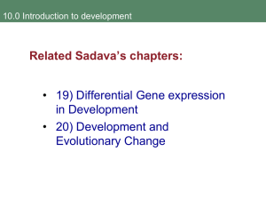 19) Differential Gene expression in Development