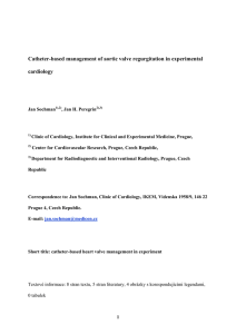 Catheter-based management of aortic valve