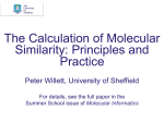 The Calculation of Molecular Similarity: Principles and Practice