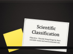 Scientific Classification