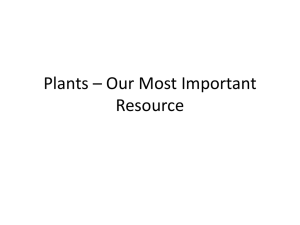 Plants * Our Most Important Resource