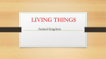 living things - WordPress.com
