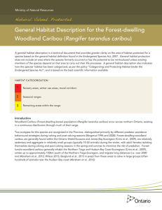 General Habitat Description for the Forest-dwelling
