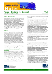 Foxes - Options for Control (VIC)