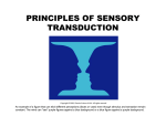 PRINCIPLES OF SENSORY TRANSDUCTION