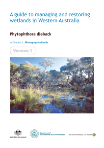 Phytophthora dieback1.02 MB - Department of Parks and Wildlife