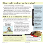 How might food get contaminated? - Utah Agriculture in the Classroom