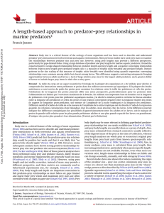 A length-based approach to predator–prey relationships in marine