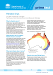 Hendra virus - NSW Department of Primary Industries
