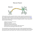Neuron Presentation Project