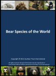 Bear Species of the World - Bear Trust International