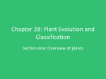 Introduction to Plants Powerpoint