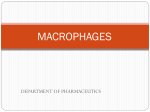 MACROPHAGES