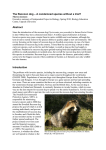 The Raccoon dog – A condemned species without a trial? Abstract