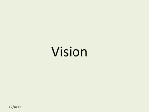 Vision