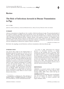 The Role of Infectious Aerosols in Disease Transmission in Pigs