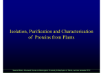 Isolation Purification and Characterisation Isolation, Purification and
