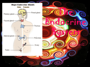 The endocrine system is founded on hormones and glands.