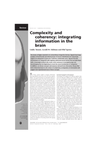 Complexity and coherency: integrating information in the brain