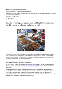 Insects – rearing and use as feed and food in Denmark and the EU