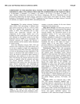 COMPOSITION OF FINE-GRAINED BULK MATRIX AND