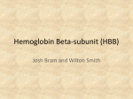 Hemoglobin Beta