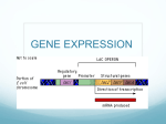 GENE EXPRESSION CHAPTER 11