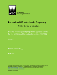 Parvovirus B19 Infection in Pregnancy