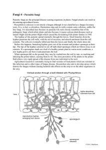 Parasitic fungi - Biology Resources