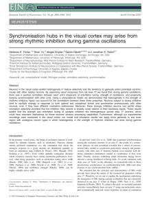 Synchronisation hubs in the visual cortex may arise from strong