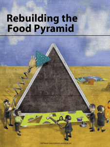 Rebuilding the Food Pyramid - Tools for Well