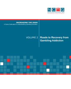 Volume 2 Roads to Recovery from Gambling Addiction