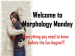 Morphology Monday- introduction