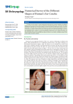 Numerical Survey of the Different Shapes of Human`s Ear Concha