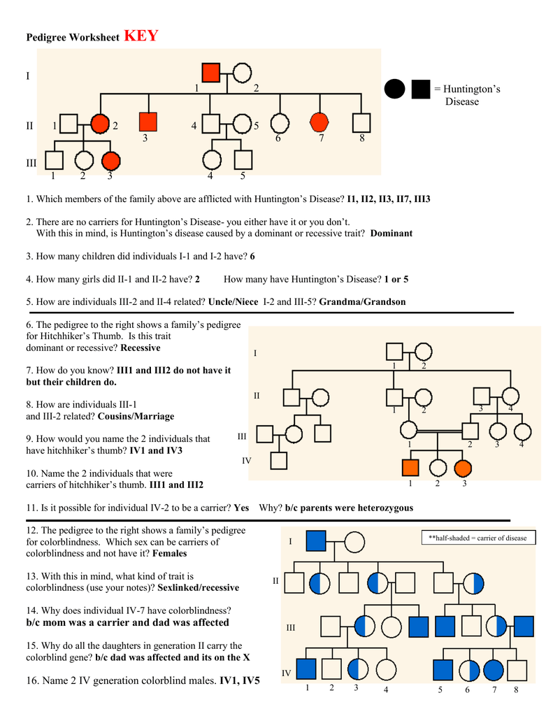 Pedigree Charts Worksheet Answers