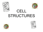 cell structures - Learn District 196