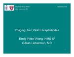 Imaging Two Viral Encephalitides Emily Pinto-Wong