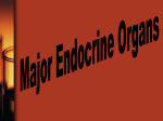 Endocrine Glands and Diseases