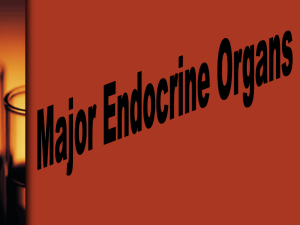 Endocrine Glands and Diseases