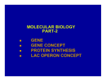 MOLECULAR BIOLOGY PART-2 GENE GENE CONCEPT GENE