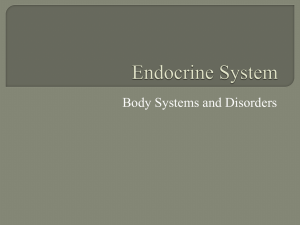 Endocrine System